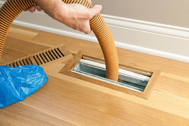 Best Affordable HVAC Duct Cleaning  in Trinity, FL