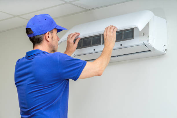 Best Air Vent Cleaning Services  in Trinity, FL
