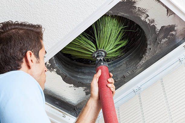Best Affordable HVAC Duct Cleaning  in Trinity, FL